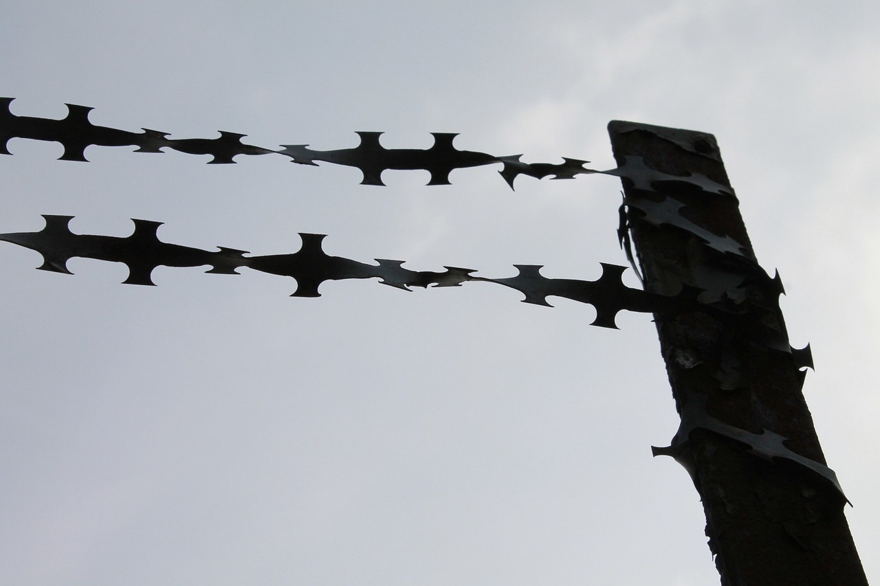 Understanding the Impact of Defense Policies on Global Security